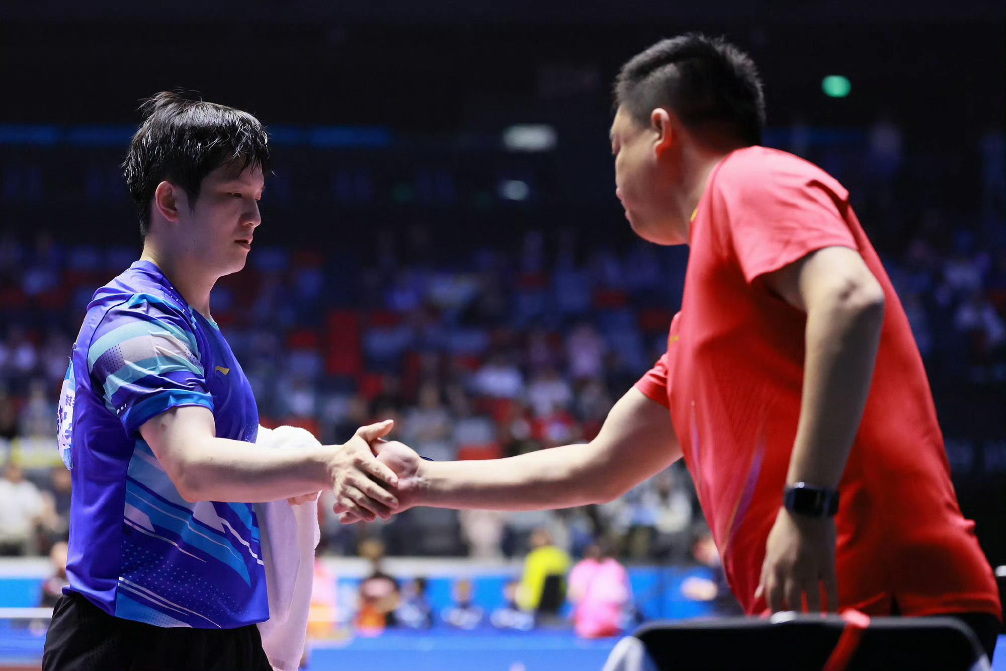 关于德国队险胜英格兰队,樊振东惊艳四座的信息 关于德国队险胜英格兰队,樊振东惊艳四座的信息